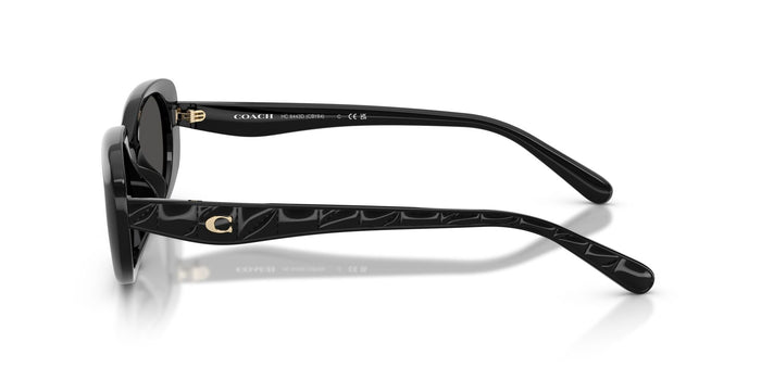 COACH-0CH8443D-500287-5417-SUNGLASSES