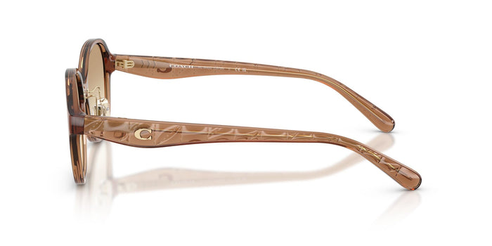 COACH-0CH8445F-565413-5617-SUNGLASSES
