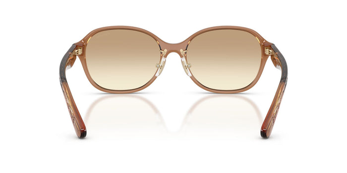 COACH-0CH8445F-565413-5617-SUNGLASSES