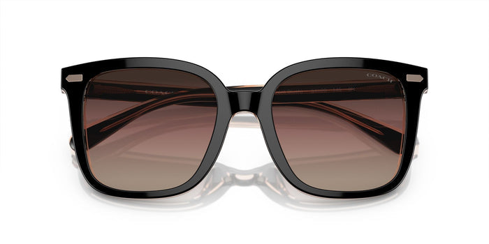 COACH-0HC8381F-5781E2-5619-SUNGLASSES