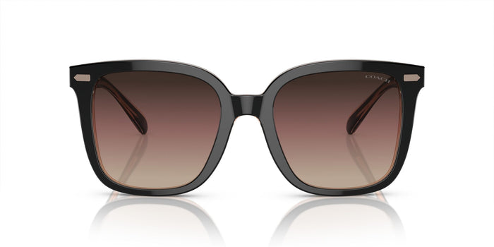 COACH-0HC8381F-5781E2-5619-SUNGLASSES