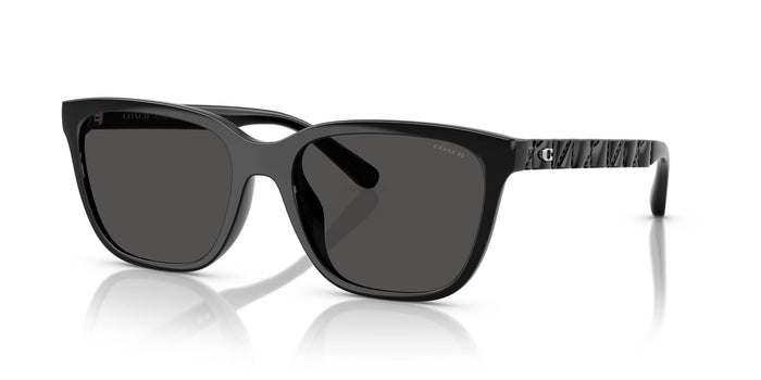 COACH-0HC8429D-500287-5618-SUNGLASSES