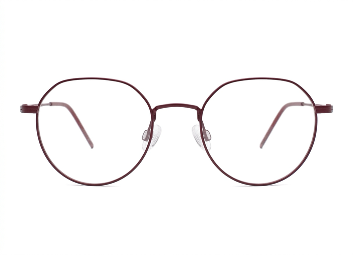 1001 PREMIUM-LX533-C10-4820-GLASSES FRAMES