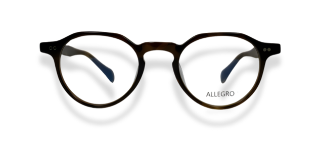 ALLEGRO-A0003-C3-4522-GLASSES FRAMES
