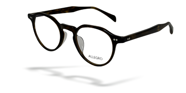 ALLEGRO-A0003-C3-4522-GLASSES FRAMES