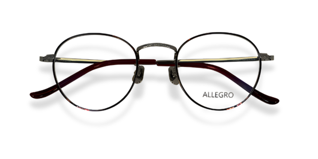 ALLEGRO-T1001-C2-4924-GLASSES FRAMES