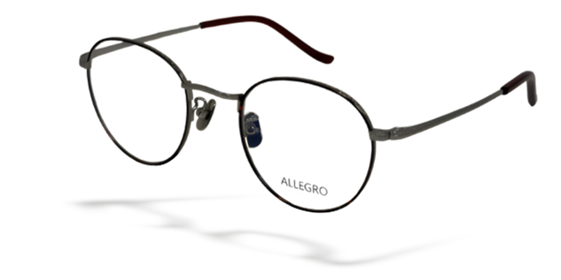 ALLEGRO-T1001-C2-4924-GLASSES FRAMES