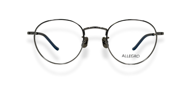 ALLEGRO-T1001-C3-4924-GLASSES FRAMES