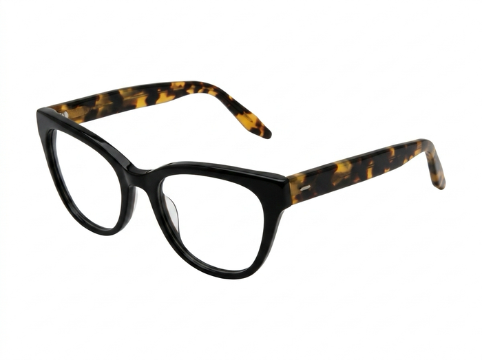 BARTON PERREIRA-VOLLMER BLACK [ALTE-BLACK-5019-GLASSES FRAMES