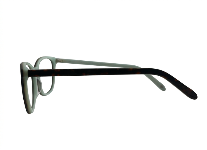 GIOVANNI-9271-704-5317-GLASSES FRAMES