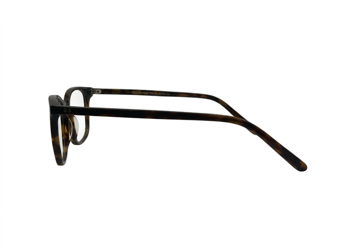 GIOVANNI-9273-710-5019-GLASSES FRAMES
