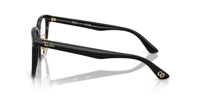 RAY-BAN-0RX5425D-8432-5419-GLASSES FRAMES