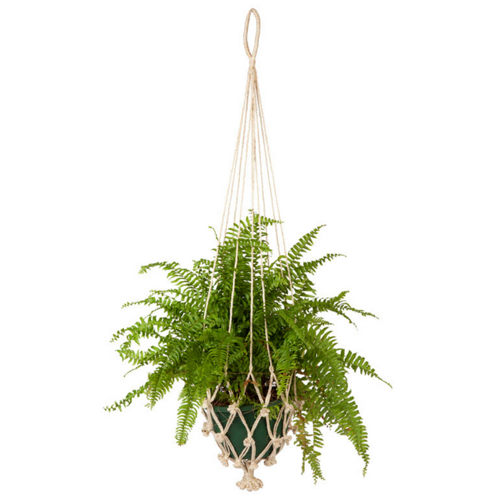 Set Of 4 Vibhav Handmade Jute Macrame Plant Hanger & Pot Holder - 105 cm - Fab Habitat , Macrame Plant hanger,