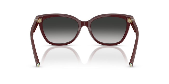 TIFFANY & CO.-0TF4237BF-83893C-5517-SUNGLASSES