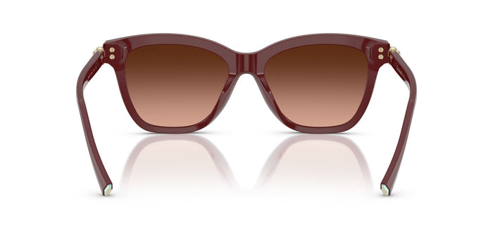 TIFFANY & CO.-0TF4241D-84395M-5417-SUNGLASSES