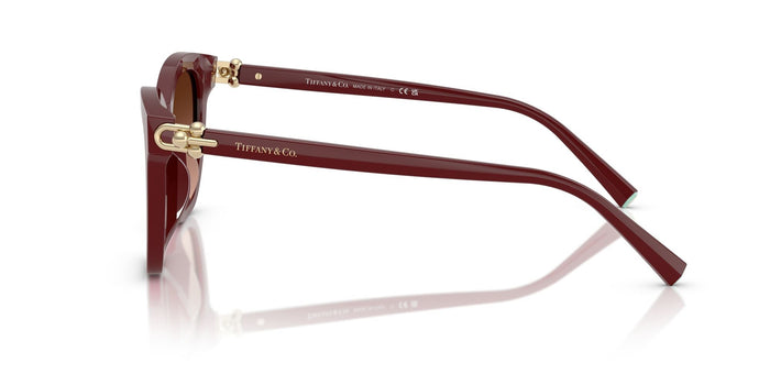 TIFFANY & CO.-0TF4241D-84395M-5417-SUNGLASSES