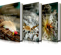 Top Saltwater Flies Bonefish, Tarpon, Permit Three-Volume Set by Drew Chicone